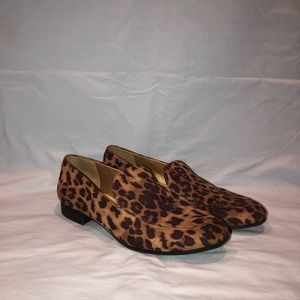 Cheetah Flats